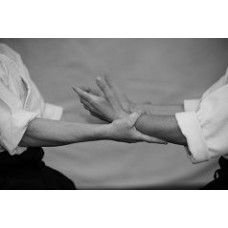 Het Aikido-Interactiemodel - Webinar